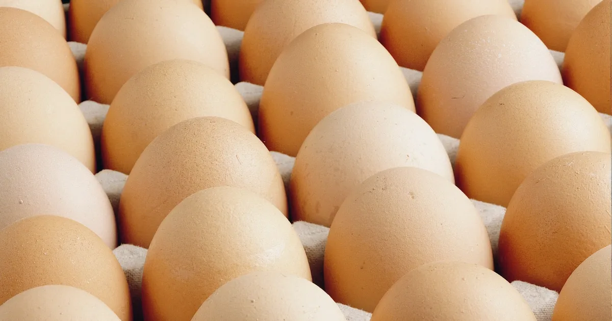 A sınıfı yumurtalarda ‘tüketim tarihi’ zorunluluğu… Türk Gıda Kodeksi Yumurta Tebliği’nde değişiklik