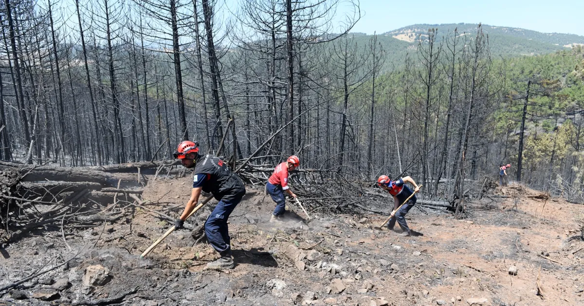 Bursa’da orman yangınlarına OSAD’dan koordineli müdahale