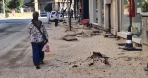 Keşan Belediyesi’nin Önder Caddesi’ndeki kaldırım düzenleme çalışmaları sırasında ağaçların kesilmesi,