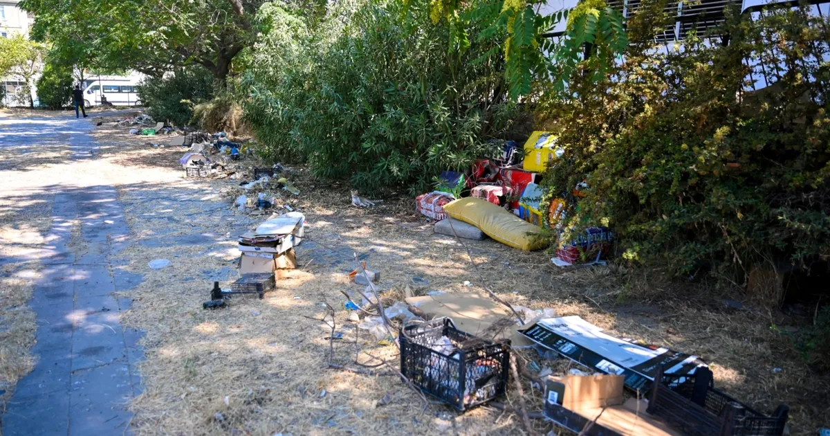 İzmir Bornova’daki 166 yıllık köşk çevresindeki atıl alan temizlendi