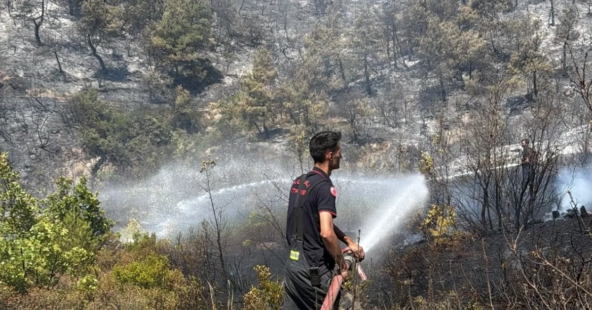 Kocaeli Büyükşehir Belediyesi ekipleri, Bursa’nın ormanlık alanlarında çıkan yangına destek