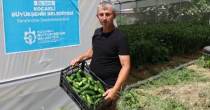 Kocaeli Büyükşehir’in Belediyesi’nin yüzde 50 hibeli gübre ve modern sera