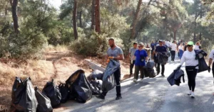 Bursa'da Mudanya Belediyesi, Altıntaş Mahallesi’nde orman yangını riskini azaltmak için