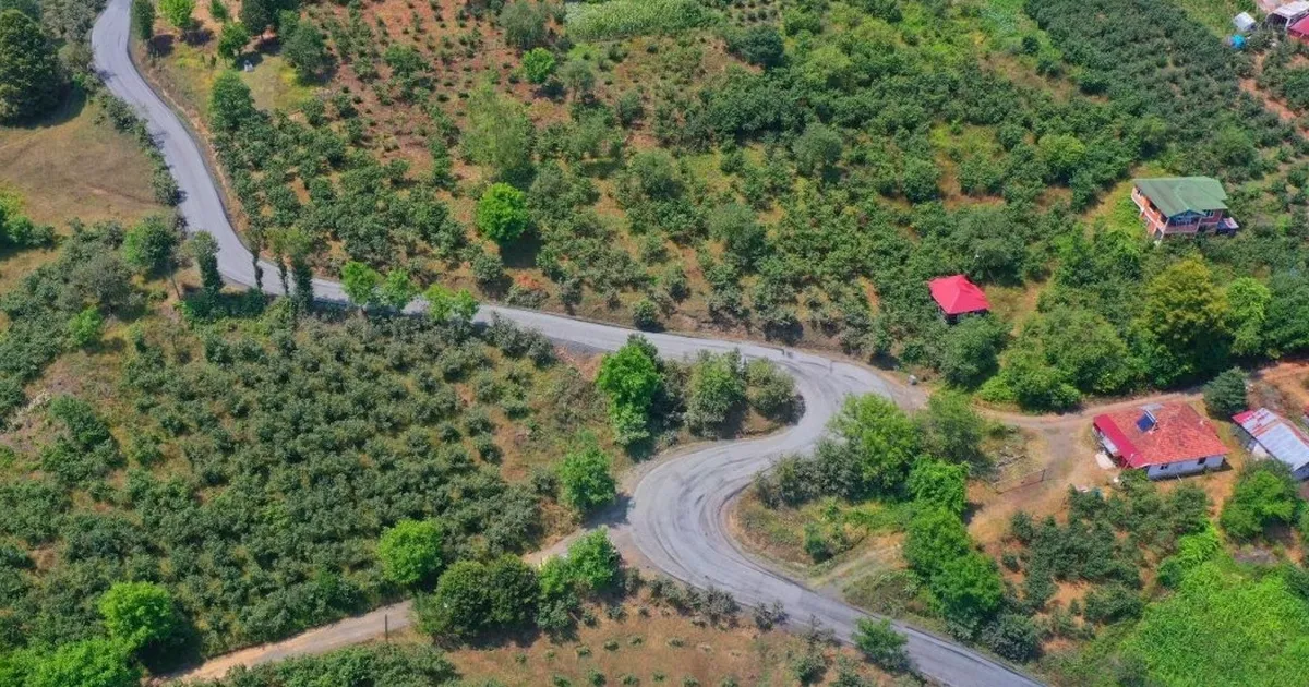 Ordu’nun Akkuş ilçesinden Samsun’a bağlantı sağlayan yolda asfalt çalışmaları devam