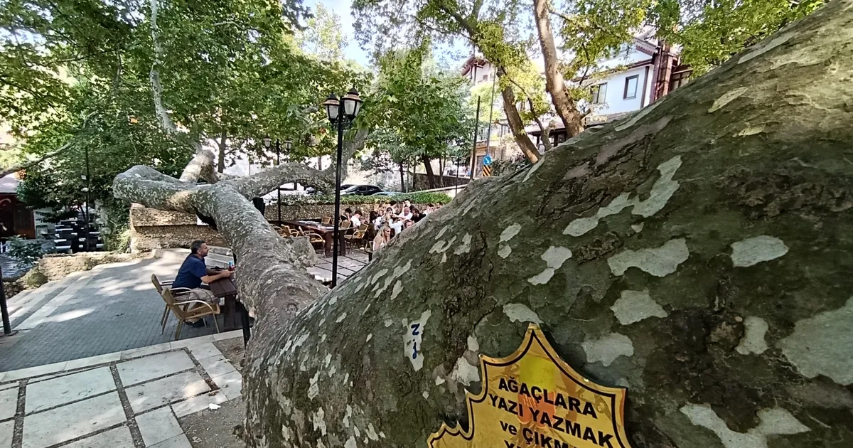 Bursa’nın “Yeşil Bursa” kimliğinde önemli bir yere sahip olan Uludağ