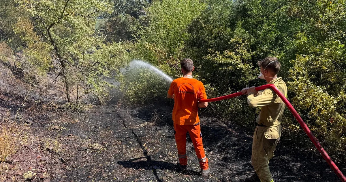 Sakarya Büyükşehir Belediyesi İtfaiye ekipleri, Adapazarı Kömürlük Mahallesi’nde öğlen saatlerinde