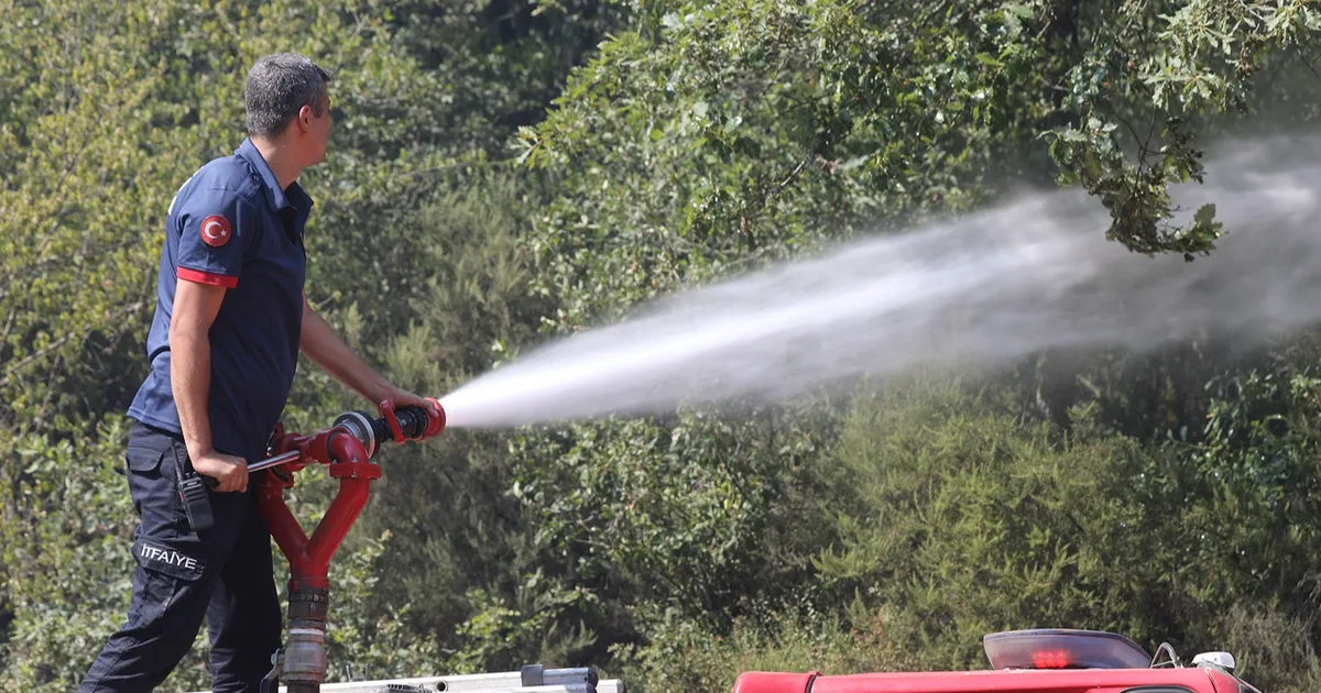 Sakarya’da aynı anda 3 orman yangını: Nuruosmaniye’de müdahale devam ediyor
