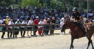 Türkiye'nin dört bir yanından rahvan at yarışçılarının katılacağı, Gölcük Belediyesi