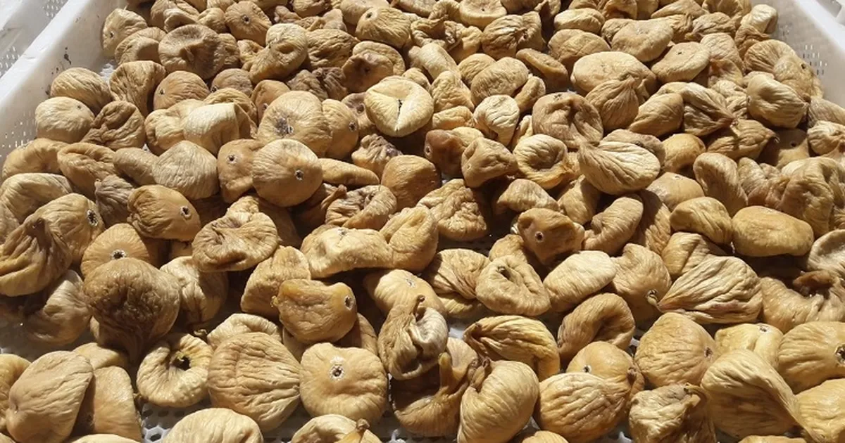 Kuru incirde üreticilere 19 bin kerevet dağıtıldı