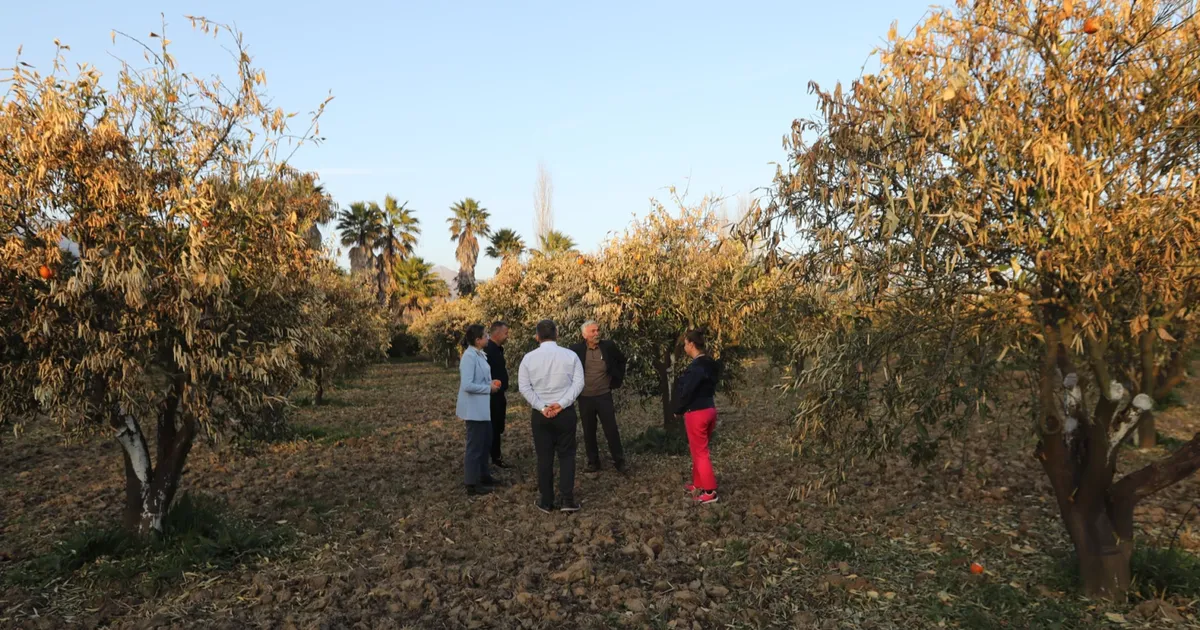 Muğla Planlama Ajansı’nın (MUPA) “Çiftçilerin Gözünden Ziraî Sürdürülebilirlik” raporu, Muğla,