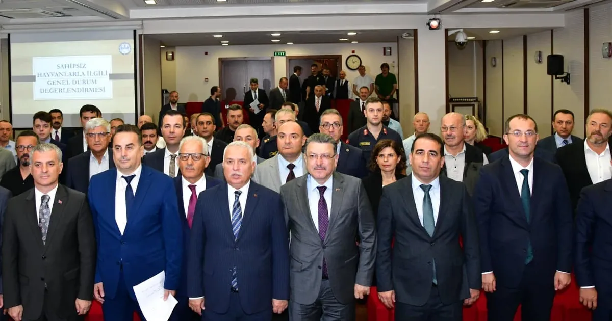 Trabzon’da sahipsiz hayvanlar için yeni dönem: TİSKOB kuruluyor