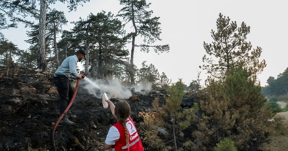 Türk Kızılayı orman yangınlarıyla mücadelede ön safta