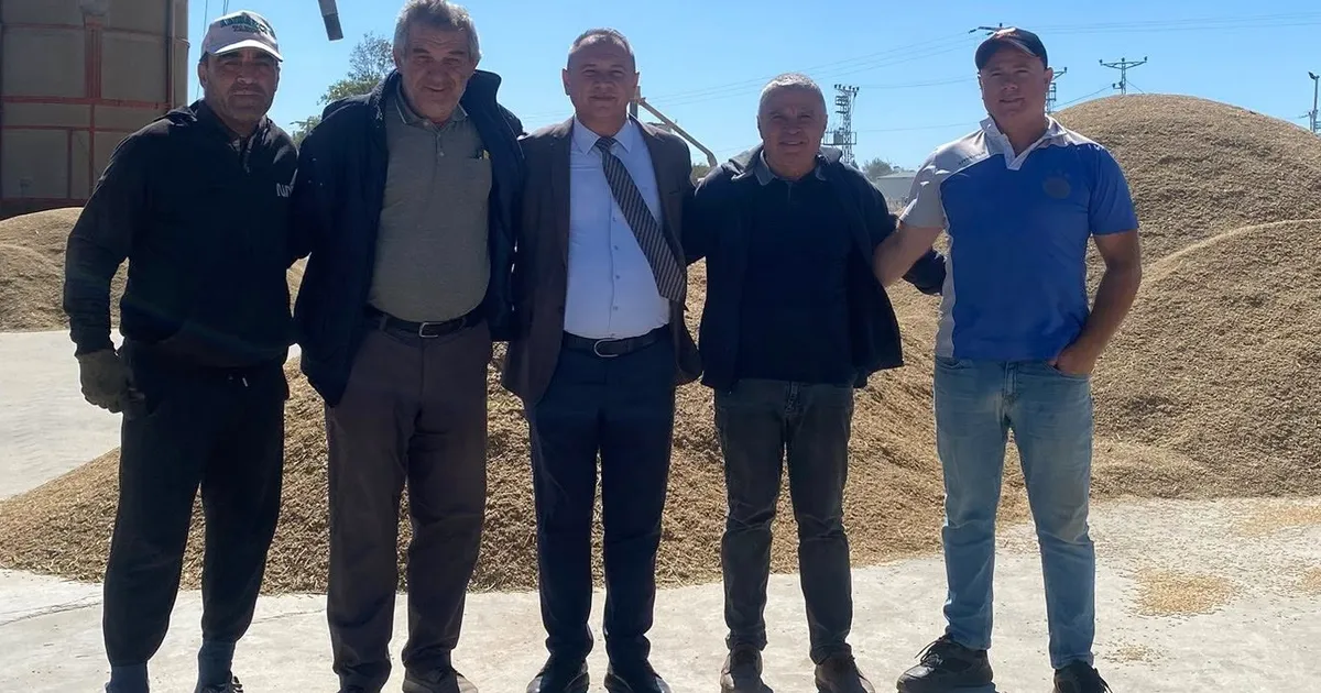 Başkan Köprü’den çiftçilere hasat ziyareti