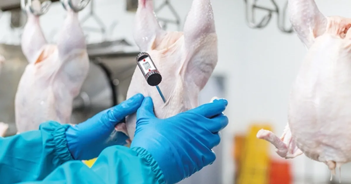 Beyaz et sektöründe rekabet ihlali! 3,7 milyar TL ceza ve sektörel düzenleme