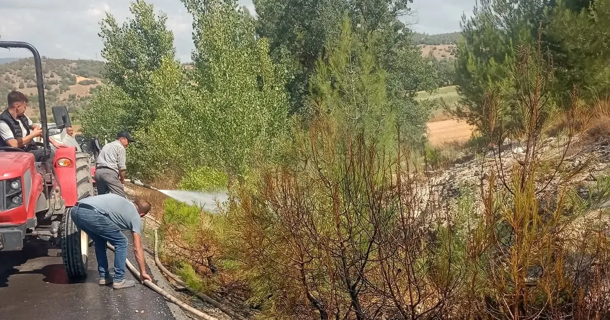 Bursa Yenişehir’de alevler ormana ulaşmadan söndürüldü