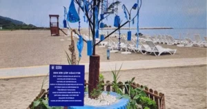 Marmara Denizi’nde ve kıyılarında yapılan paklık çalışmalarında toplanan plastik şişeler,