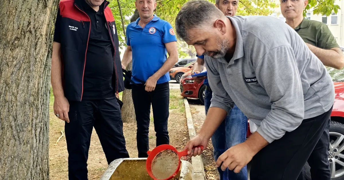 Bursa’nın su kaynaklarına 2,2 milyon sazan balığı bırakılacak