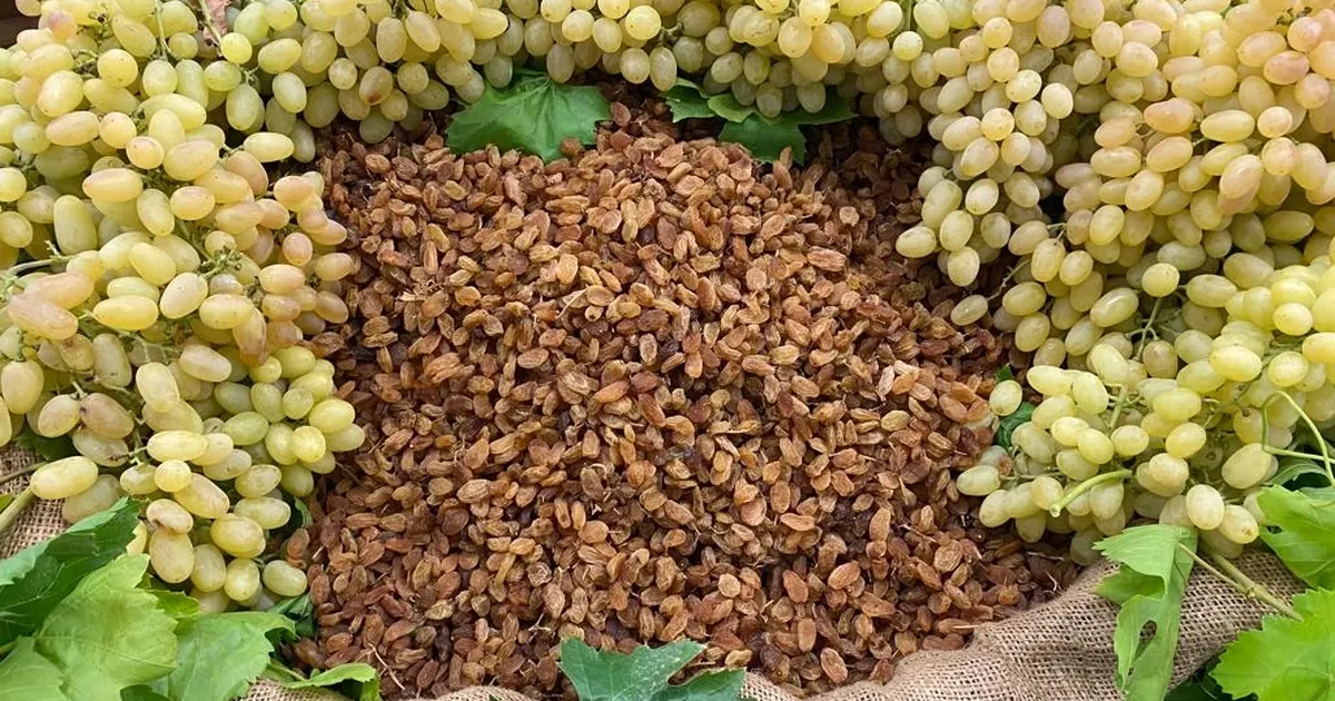 Çekirdeksiz ihracatta Türkiye ‘en’leri yaşadı