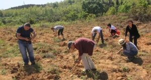 Yanan orman alanlarının bir an evvel ağaçlandırılması için herkes seferber