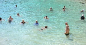 Mersin Büyükşehir Belediyesi, Toplumsal Hizmetler Dairesi Başkanlığı bünyesinde faaliyet gösteren