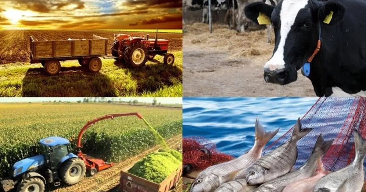 Hayvancılık destekleme miktarlarında artış! Çoban desteği ve aşı bedellleri de kapsamda