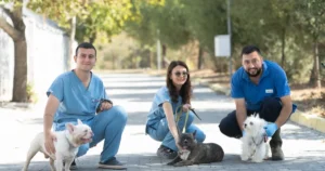 İzmir Bayraklı İlçe Tarım Müdürlüğü gruplarının doğal gereksinimleri karşılanmadan ve