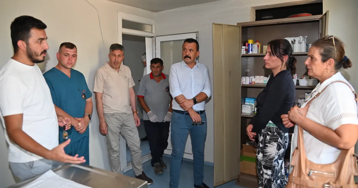 Manisa’da sokak hayvanları için yeni yaşam alanları oluşturuluyor
