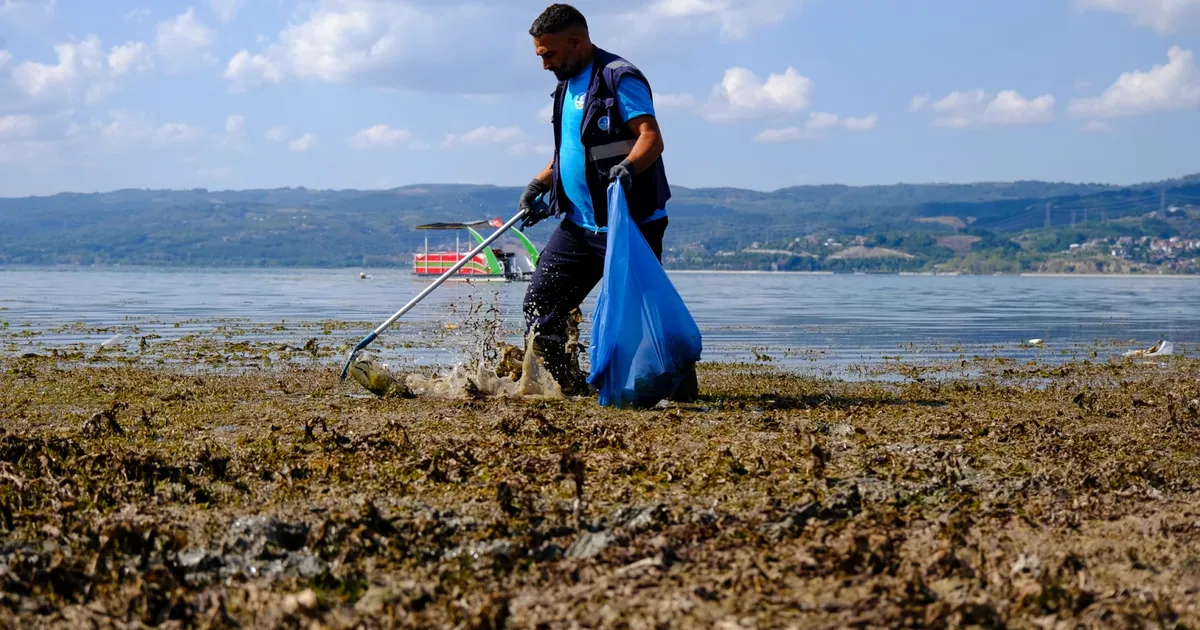 Sapanca çevresinden 2 ton çöp çıktı