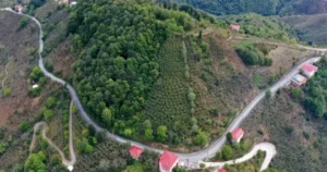 Ordu Büyükşehir Belediyesi Ünye Pelitliyatak Mahallesi’ni asfalt ile buluşturuyor, Pelitliyatak