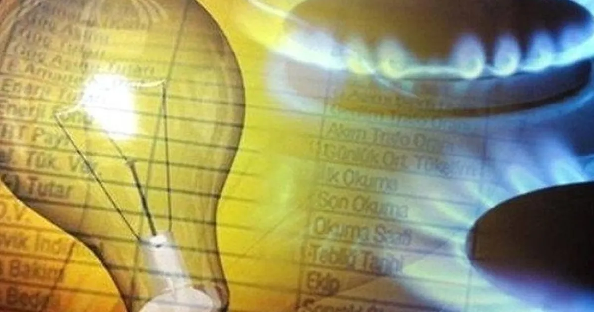 Yİ-ÜFE’de en dikkat çekici artış elektrik ve gazda