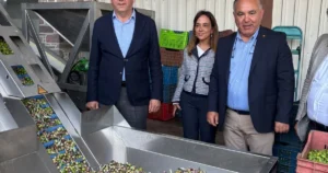 Ayvalık’ta “20. Ayvalık Milletlerarası Zeytin, Hasat ve Turizm Festivali” kapsamında