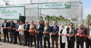 Kocaeli Çayırovalı ilçe sakinlerinin yeşille ve tabiatla iç içe huzurlu