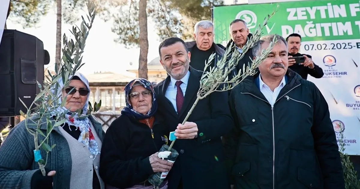 Denizli’de üreticiye 100 bin zeytin fidanı desteği