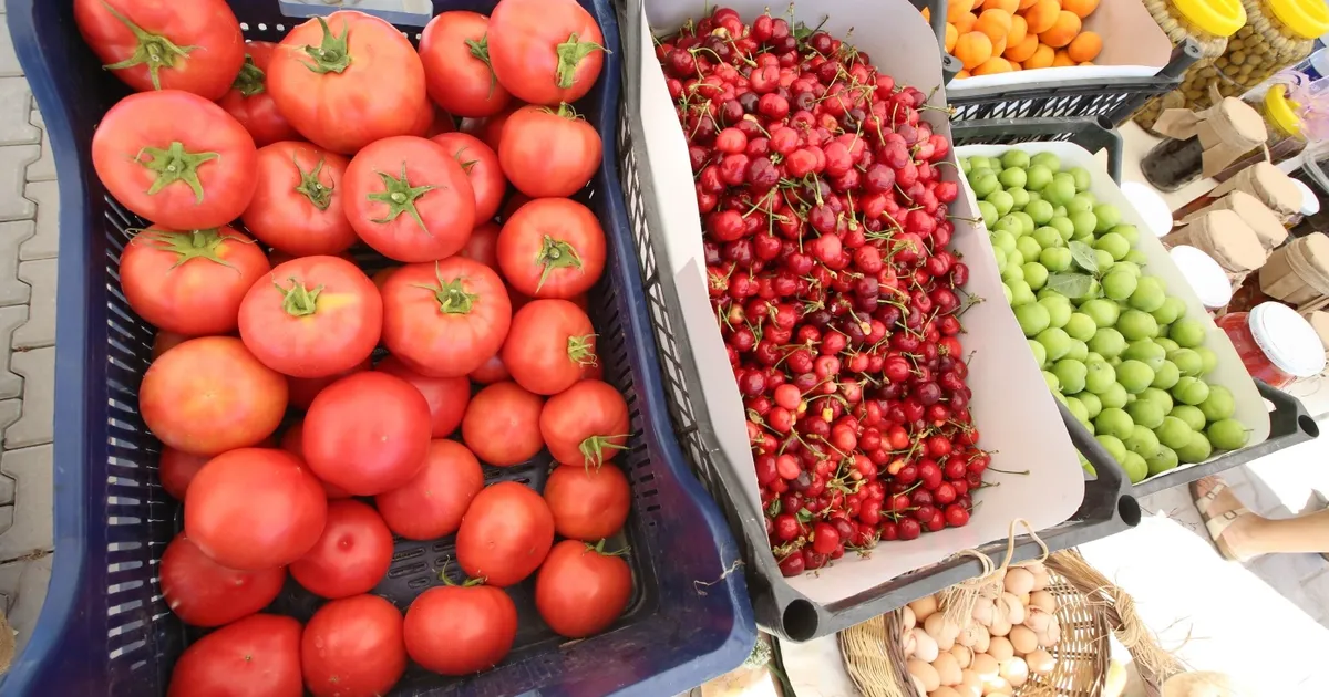 Efes Tarlası Yaşam Köyü’nde Üretici Pazarı 19 Ekim’de kapılarını açıyor
