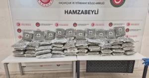 Ticaret Bakanlığı’na bağlı Gümrükler Muhafaza Genel Müdürlüğü, İspanya Ulusal Polis