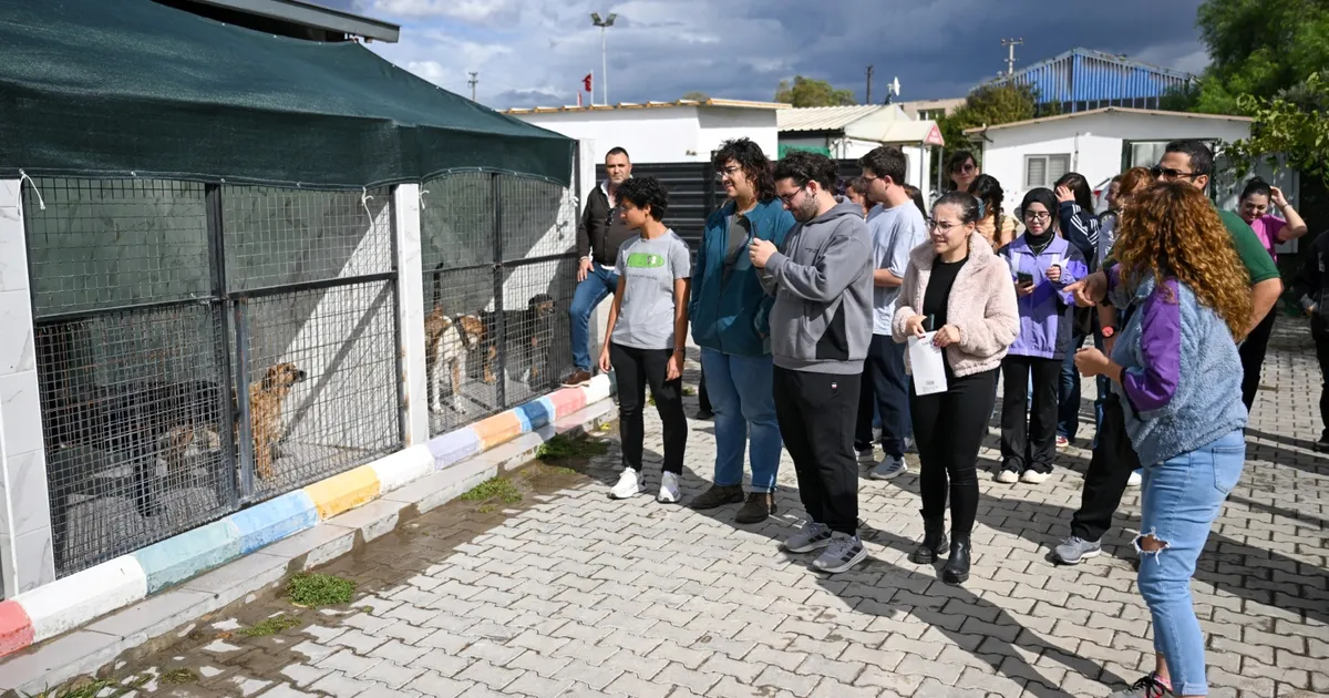 İzmir Bornova’da can dostlar için el ele