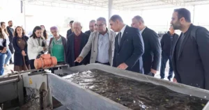İzmir Büyükşehir Belediye Lideri Dr. Cemil Tugay, Bademler Köyü Ziraî