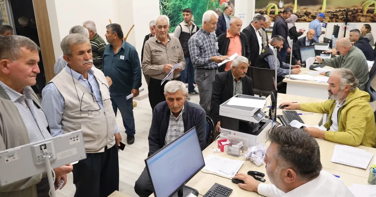Kocaeli Büyükşehir Belediyesi’nin yüzde 75 hibeli sonbahar devri yem bitkisi