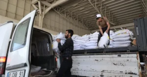 Konya Büyükşehir Belediyesi, hayvancılıkta kaba yem açığının giderilmesine katkı sağlamak