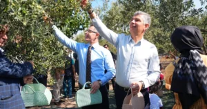 Soma’da Ömeroğlu Çiftliği’nin mesken sahipliğindeki Zeytin Hasadı Şenliği’ne katılan Belediye
