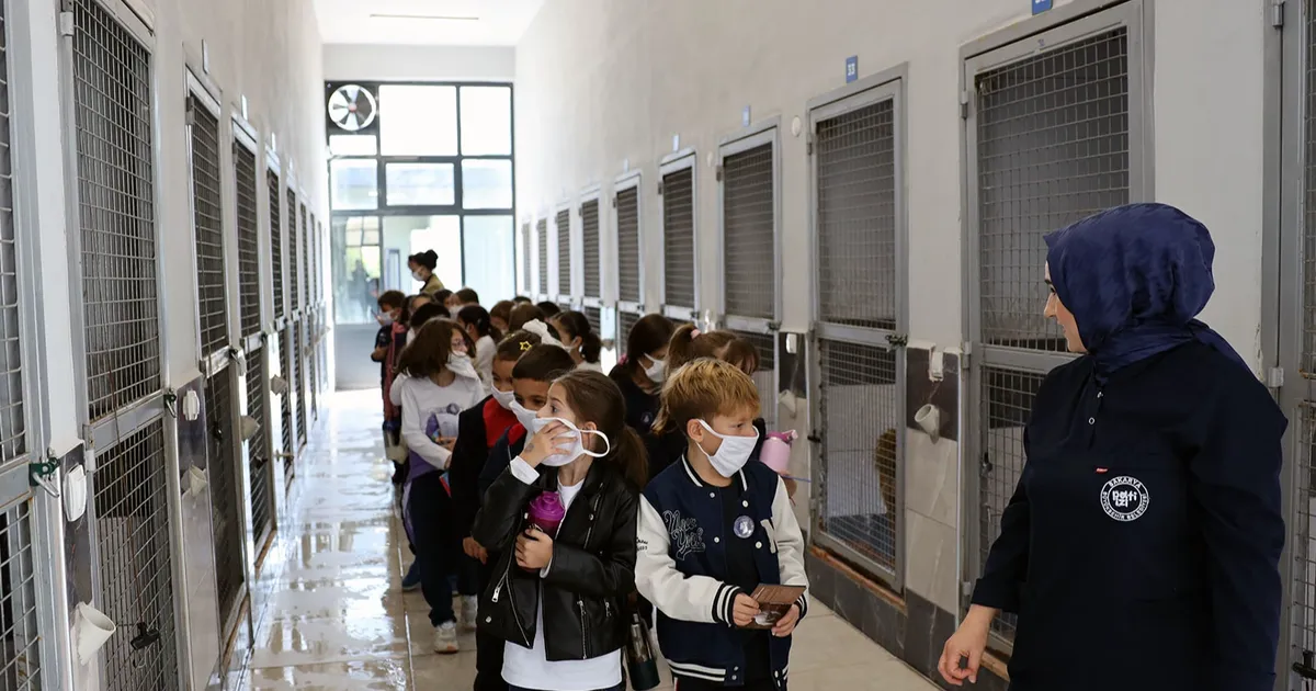 Sakarya’da can dostların yeni dünyasına hayran kaldılar