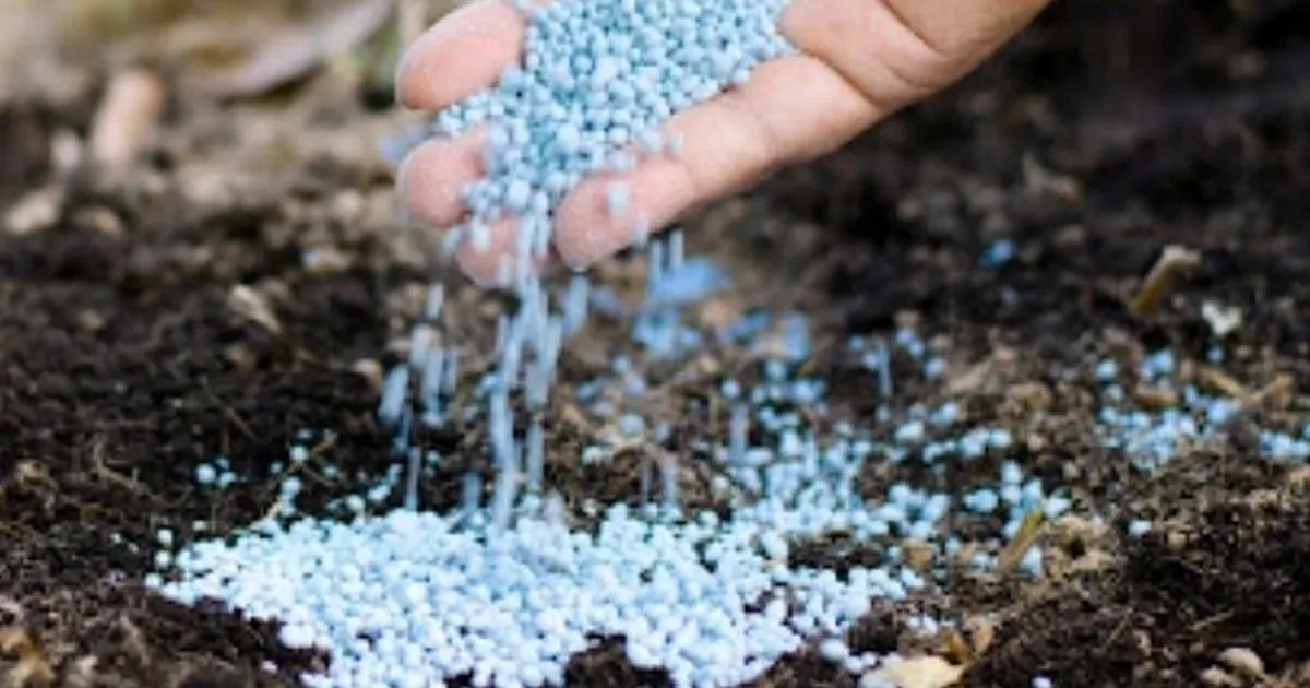 Tarımsal kirliliğe sıkı denetim! Nitrata hassas bölgeler belirlenecek