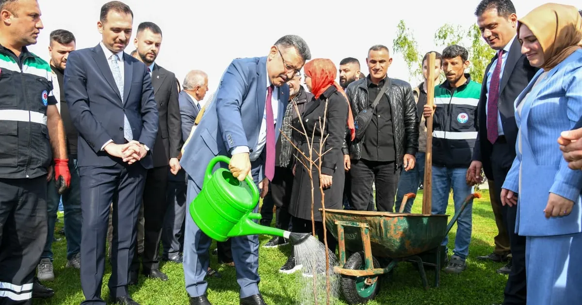 Trabzon’da 37 bin fidan toprakla buluştu