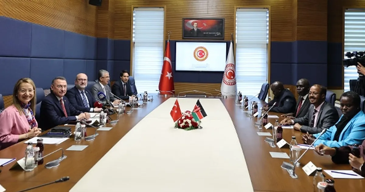 Türkiye ile Kenya arasında iş birliği mesajı