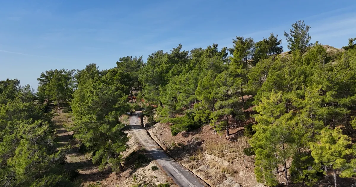 Antalya Büyükşehir Belediyesi ASAT Genel Müdürlüğü, Manavgat ilçesi Hocalı Mahallesi