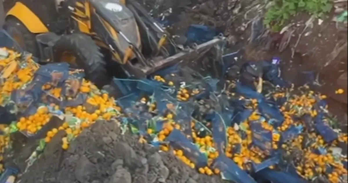 Artvin Sarp Sınır Kapısı’nda 6,1 ton mandalina imha edildi!