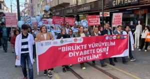 Bursa Büyükşehir Belediyesi, Bursa Kent Kurulu ve Bursa Tip 1