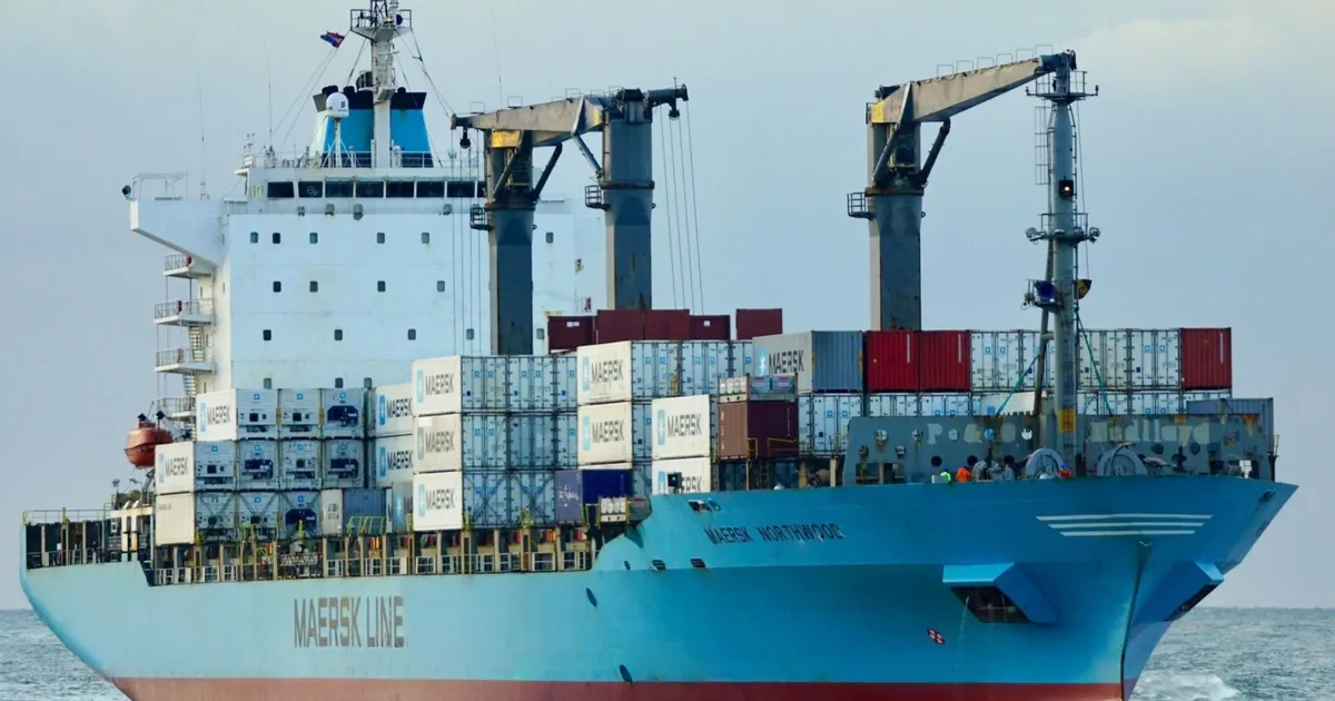 Dünya devinden Türkiye filosuna iki dev konteyner gemisi