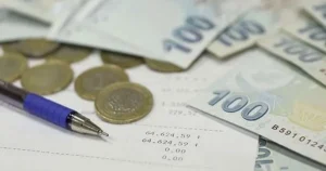 Resmi Gazete’de yayımlanan Cumhurbaşkanı Kararı ve Hazine ve Maliye Bakanlığı