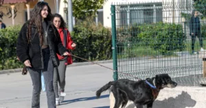 Şule Çörekçi’nin konutunda çıkan yangından kurtarılan 10 köpek ve 7